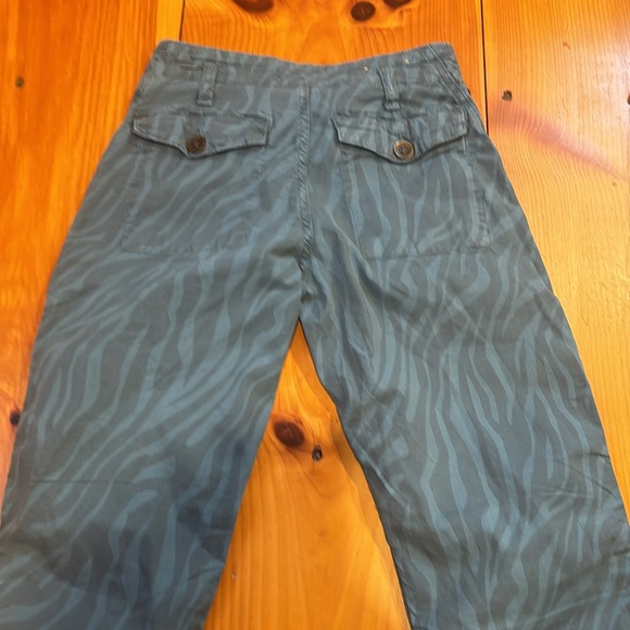 ANTHROPOLOGIE 26 Blue Zebra Print Cargo Chino Pants The Wanderer Linen Blend - Picture 3 of 10